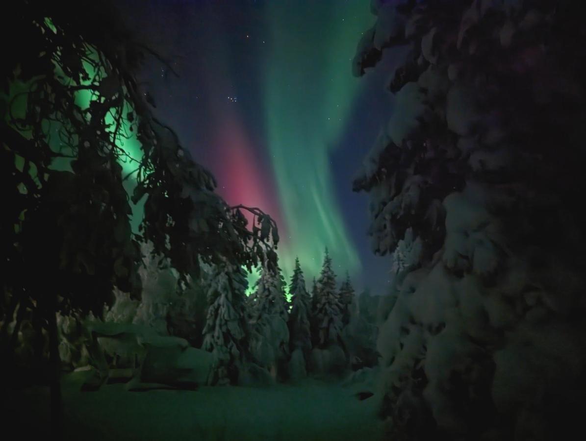 Lapland Snow Landhuis
