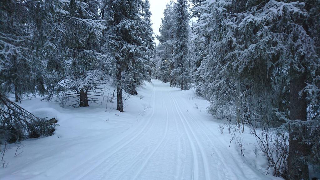 Lapland Snow *