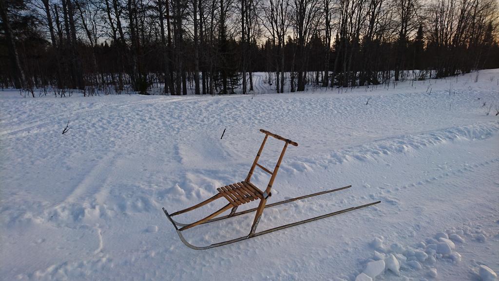 Lapland Snow