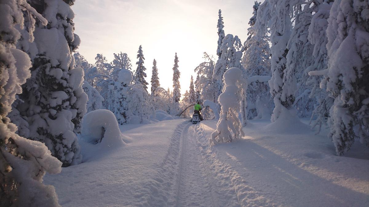 Lapland Snow Landsteder